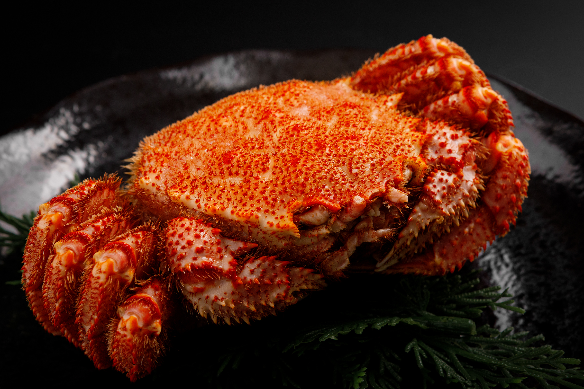 特大サイズ！　ボイル毛蟹約800ｇ×1尾